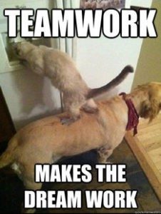 teamwork